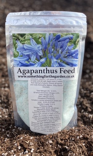 Agapanthus plant feed - 1, feed-