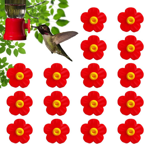 Hummingbird feeders - hummingbird,