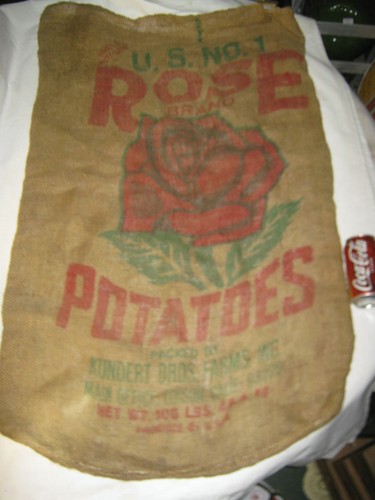Antique rose flower - antique,