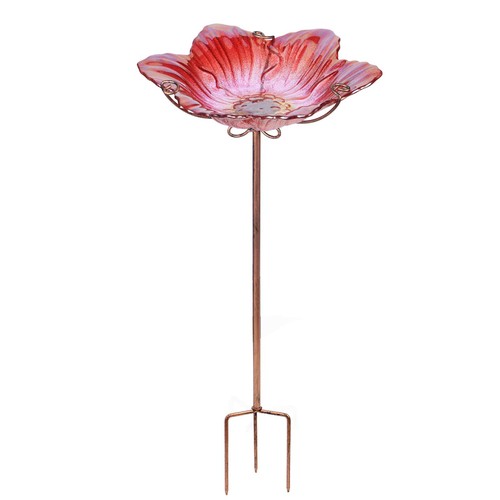 Bird baths for outdoors glass - bird,